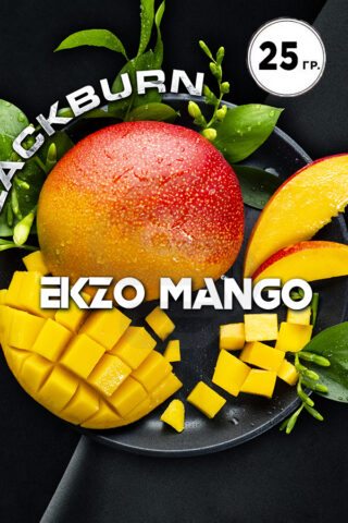 Black Burn Ekzo Mango (Сочное Манго)
