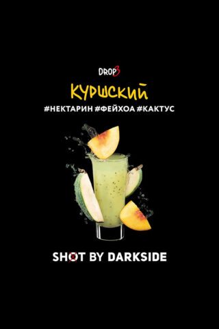Darkside Shot Куршский вайб (Нектарин, фейхоа, кактус)