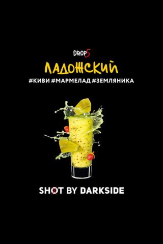 Darkside Shot Ладожский вайб (Киви, мармелад, земляника)