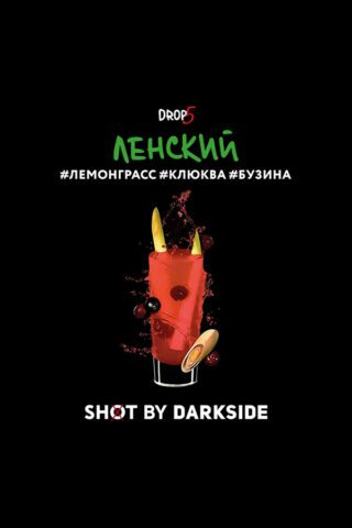 Darkside Shot Ленский трип (Лемонграсс, клюква, бузина)